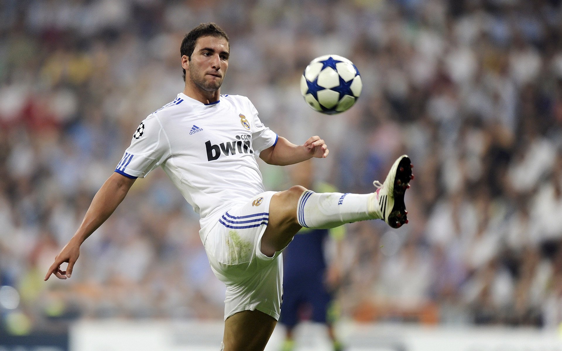 哈兰德效应:强队红利还是联赛活力提升?,哈兰德分析